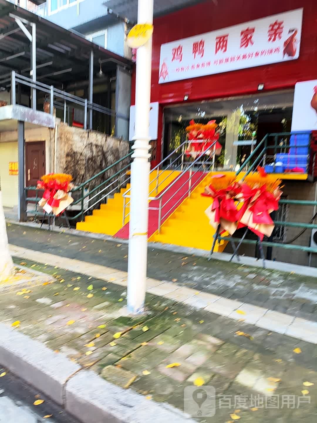 鸡苗两家亲