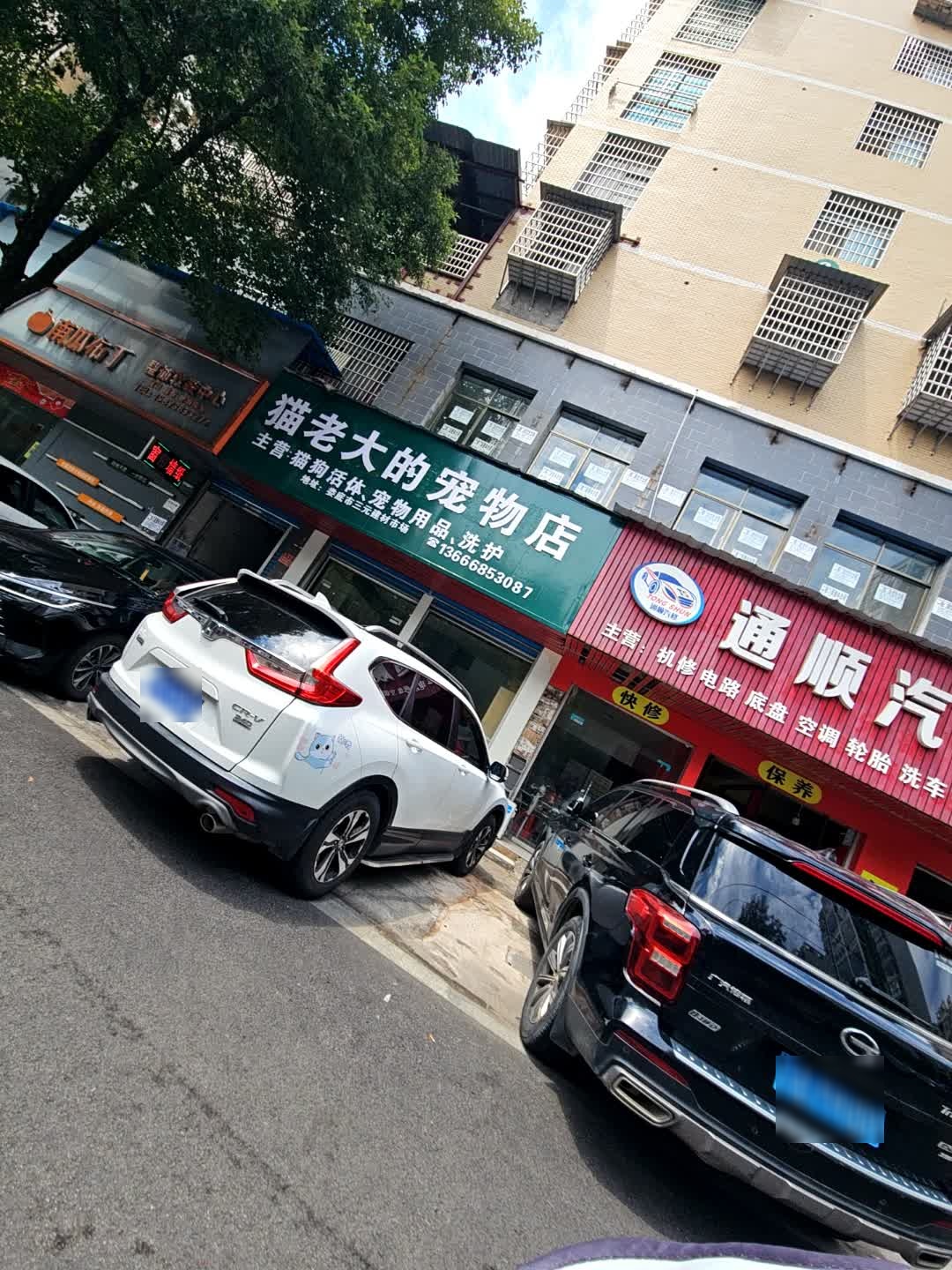 猫老大的宠物店