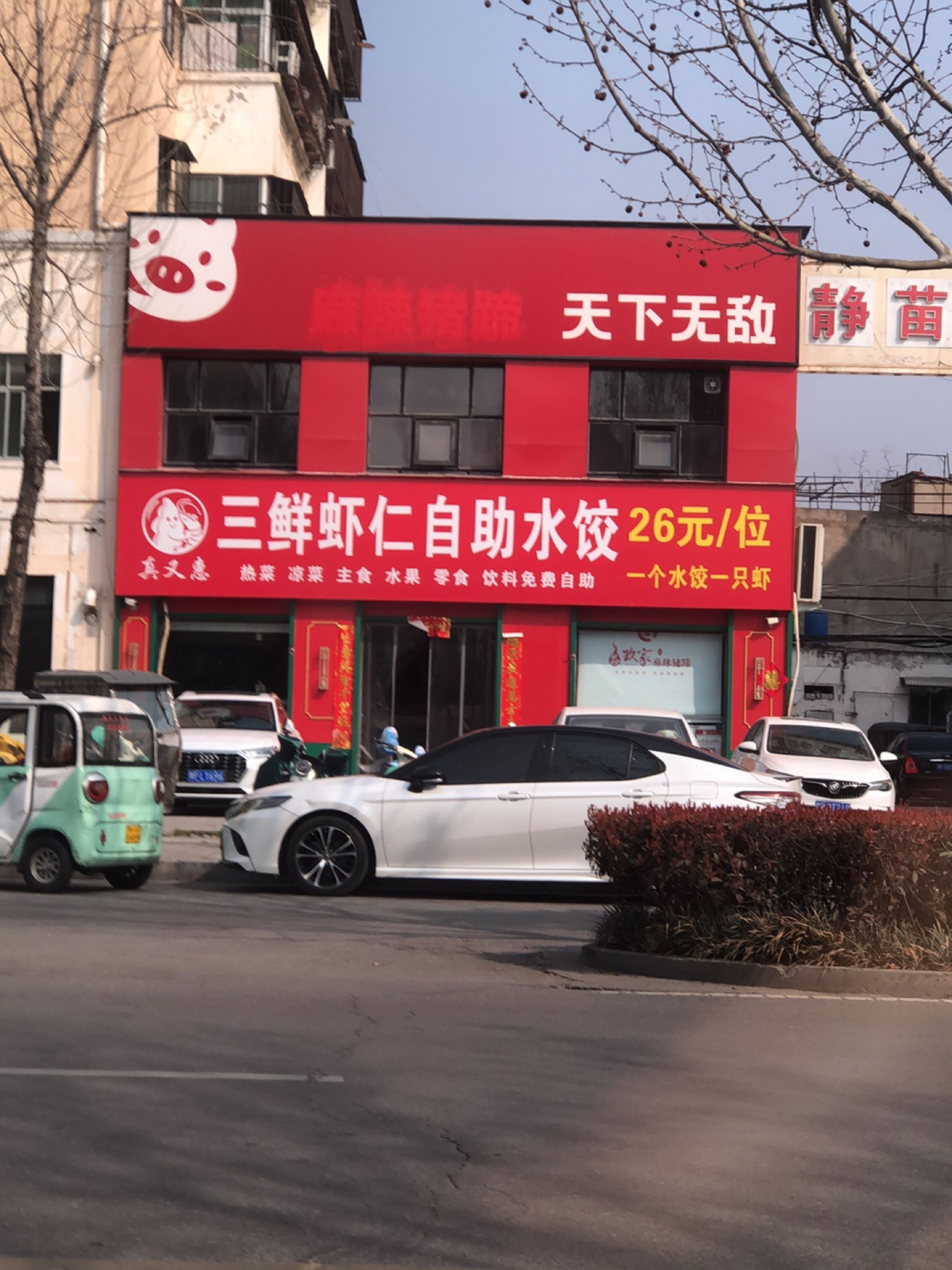 真又惠三鲜虾仁自助水饺