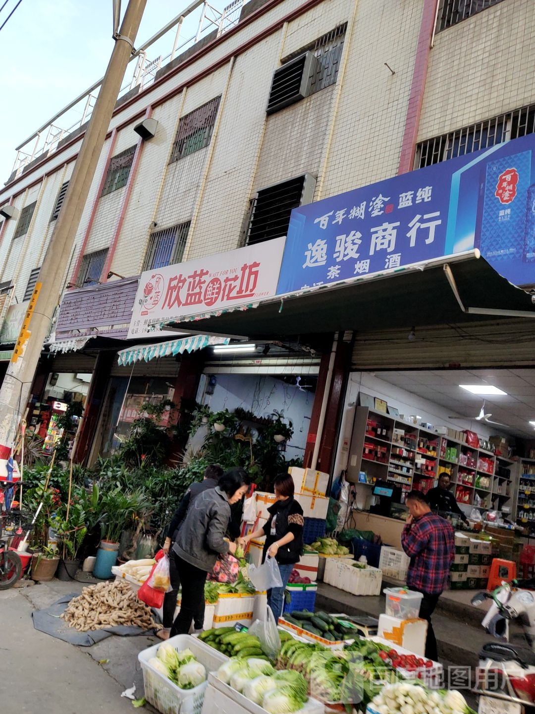 欣蓝花艺(金东方·财富家园6期店)