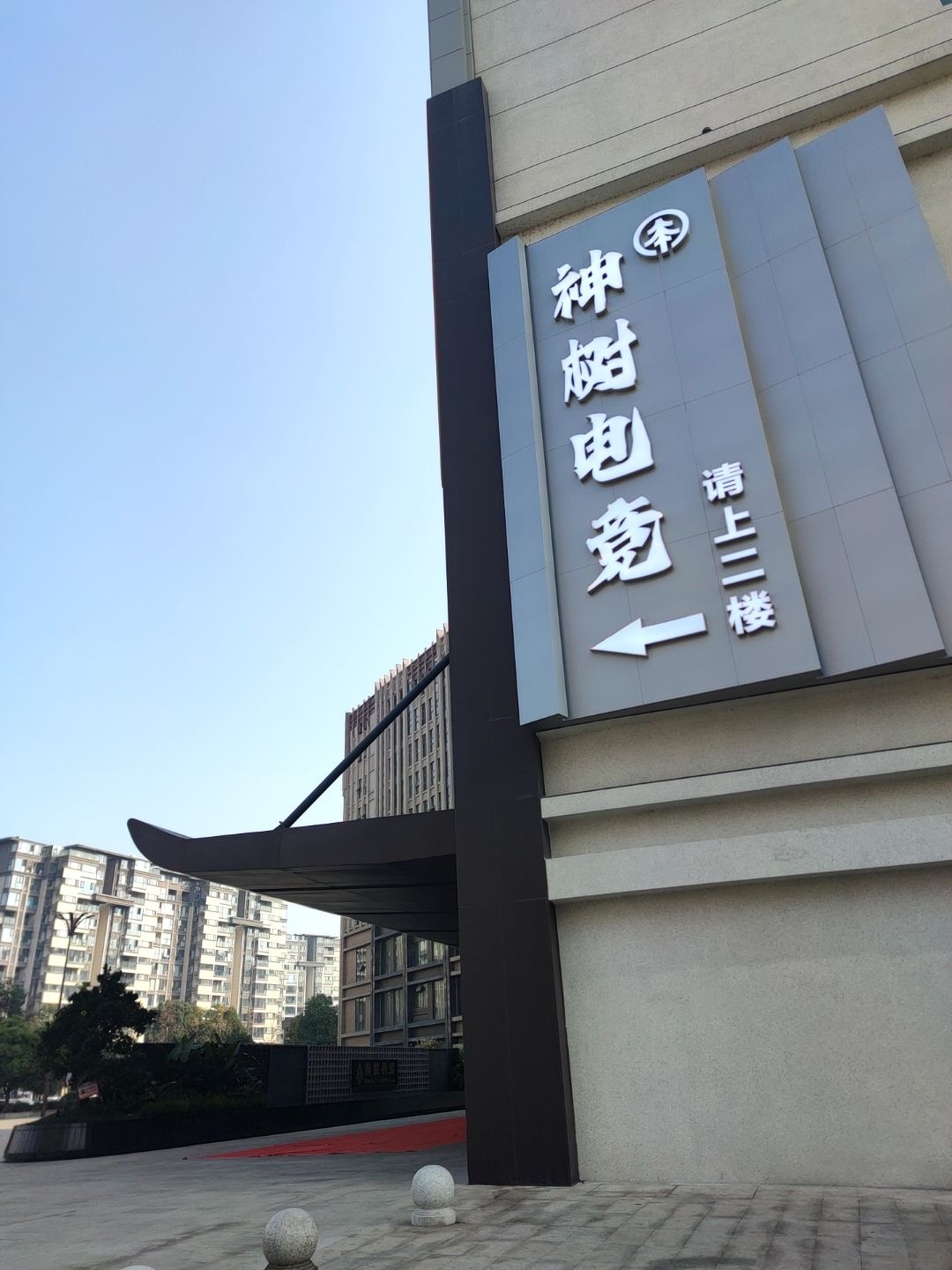 神树电竞