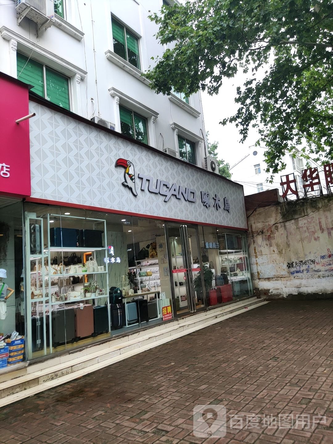 桐柏县啄木鸟(新华街店)