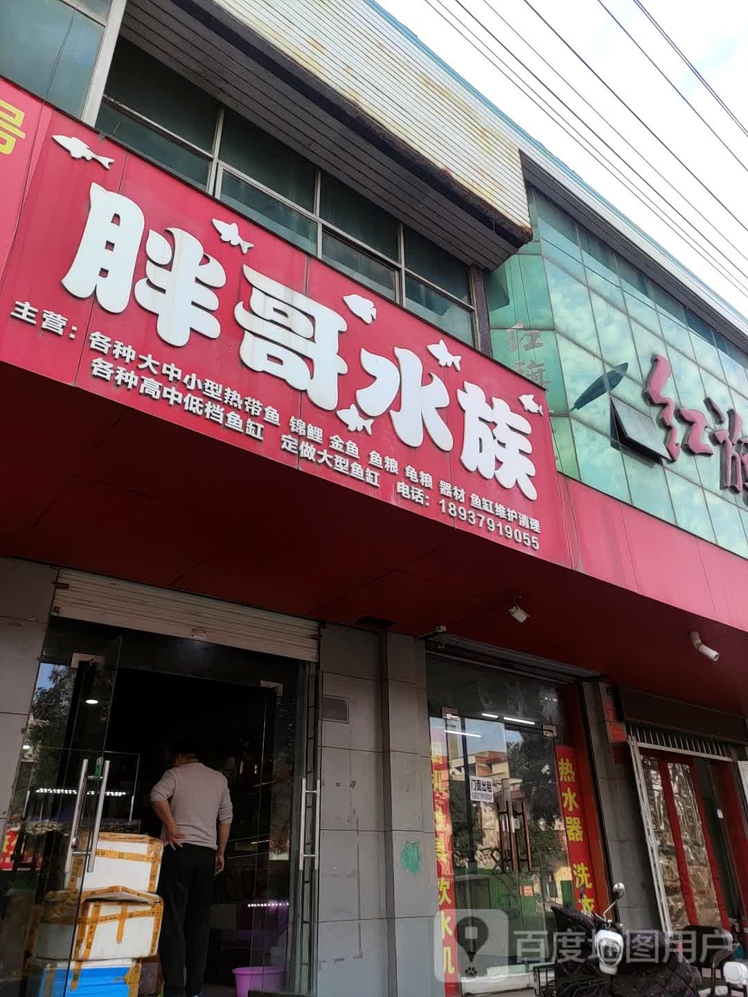胖哥水景