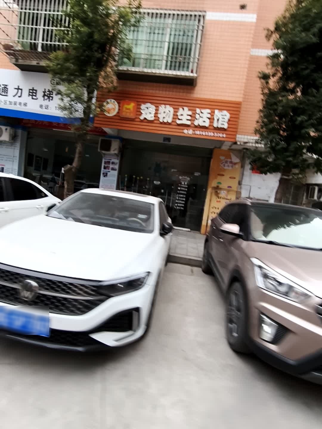 好主人宠物生活馆