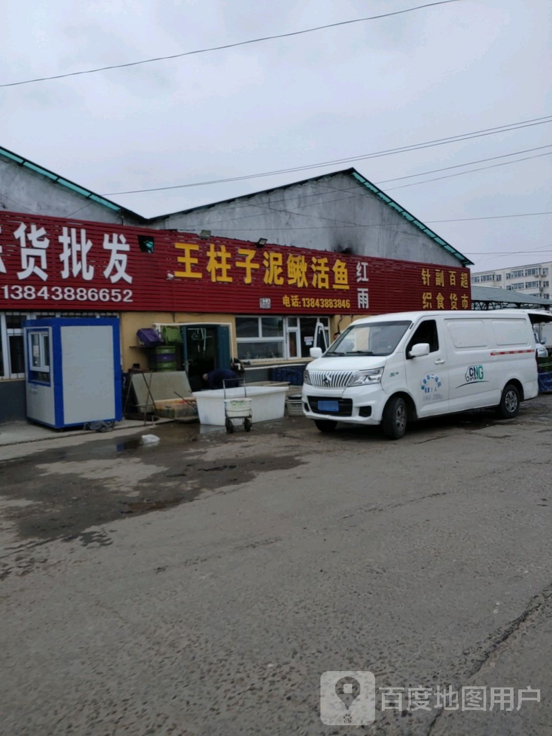 王柱子泥鳅鱼