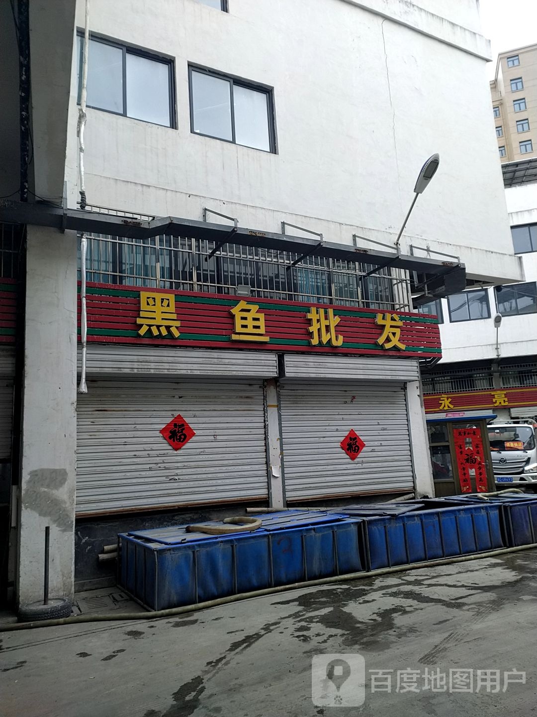 书路鱼行