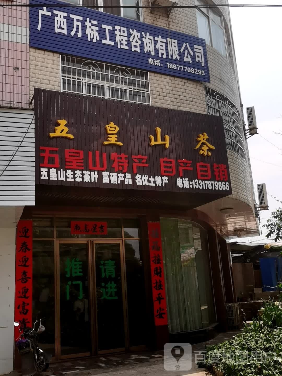 五皇山茶