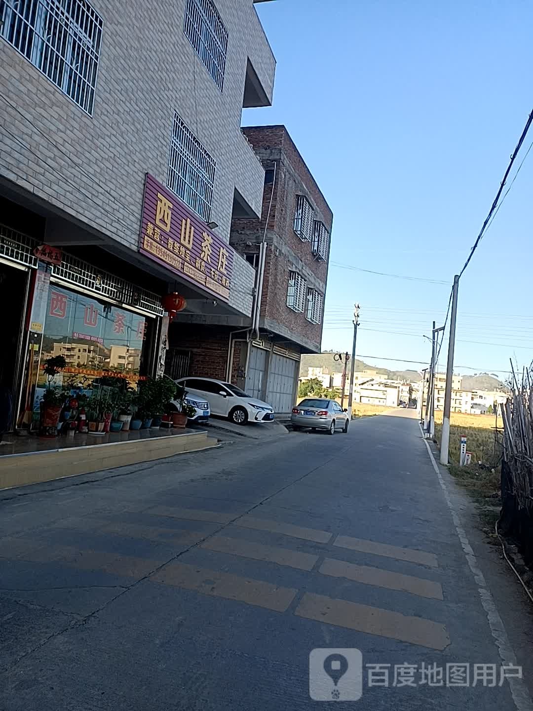 西山茶叶