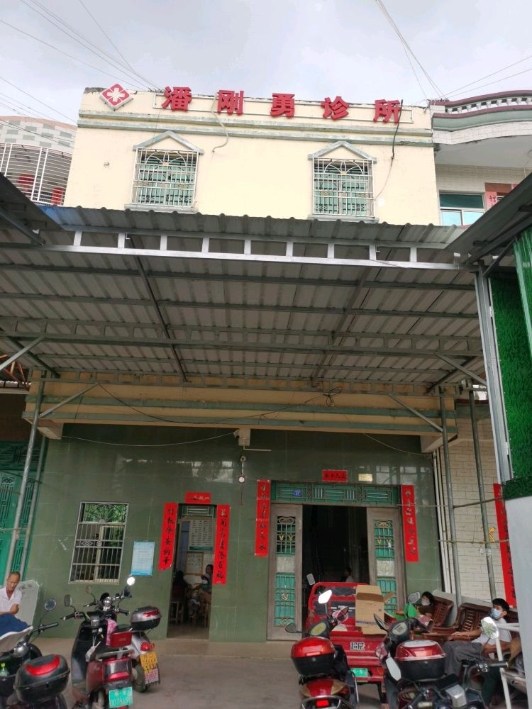 乐东县潘刚勇诊所