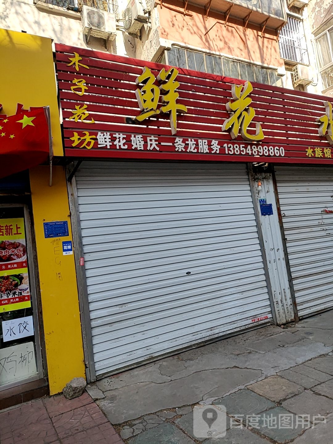 鲜花水族