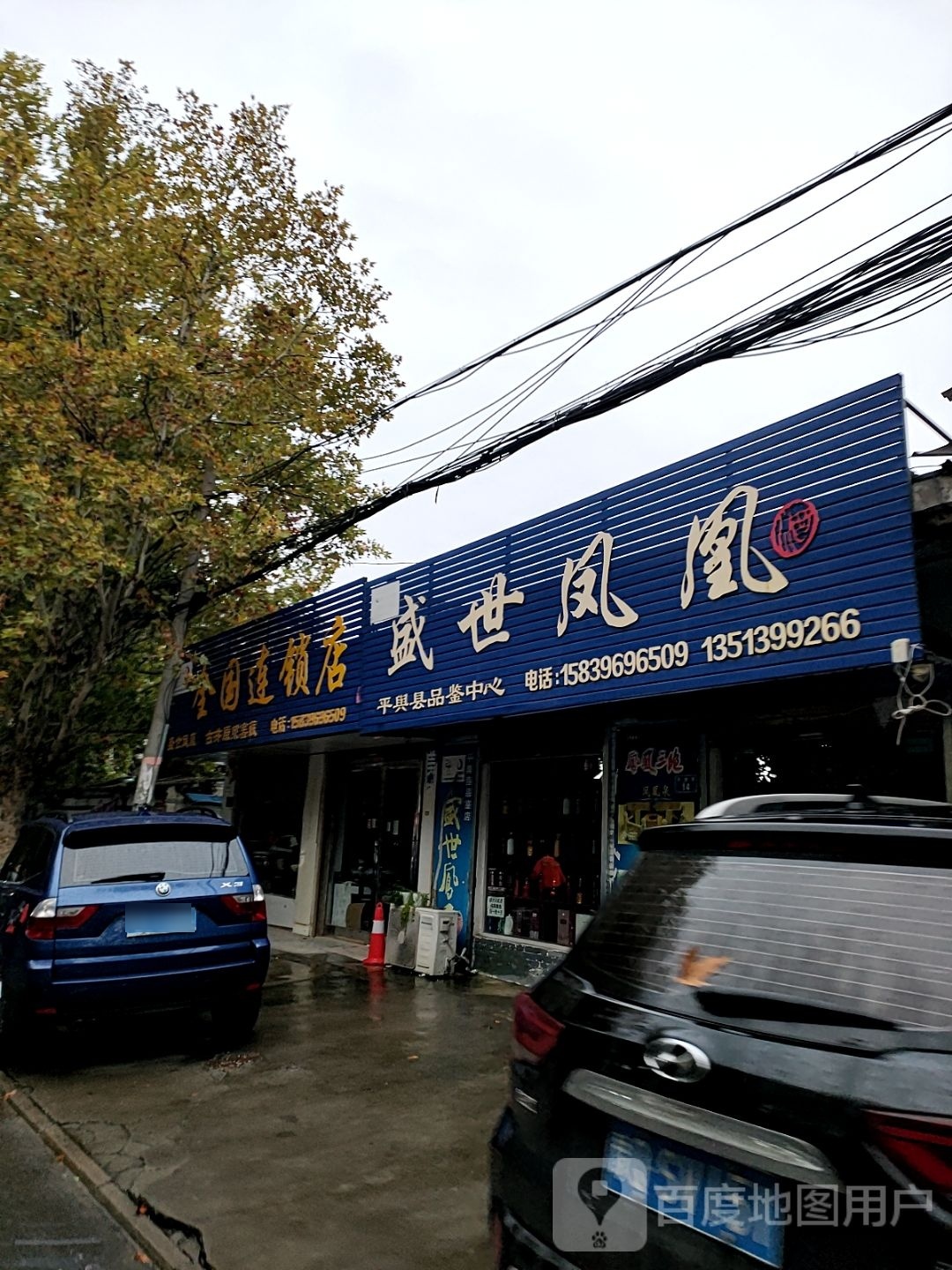 盛世凤凰(平舆县品鉴店)