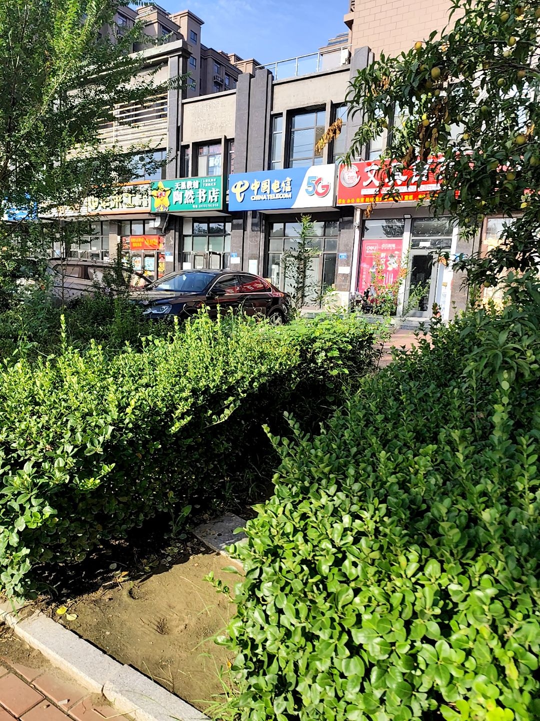 陶然书店