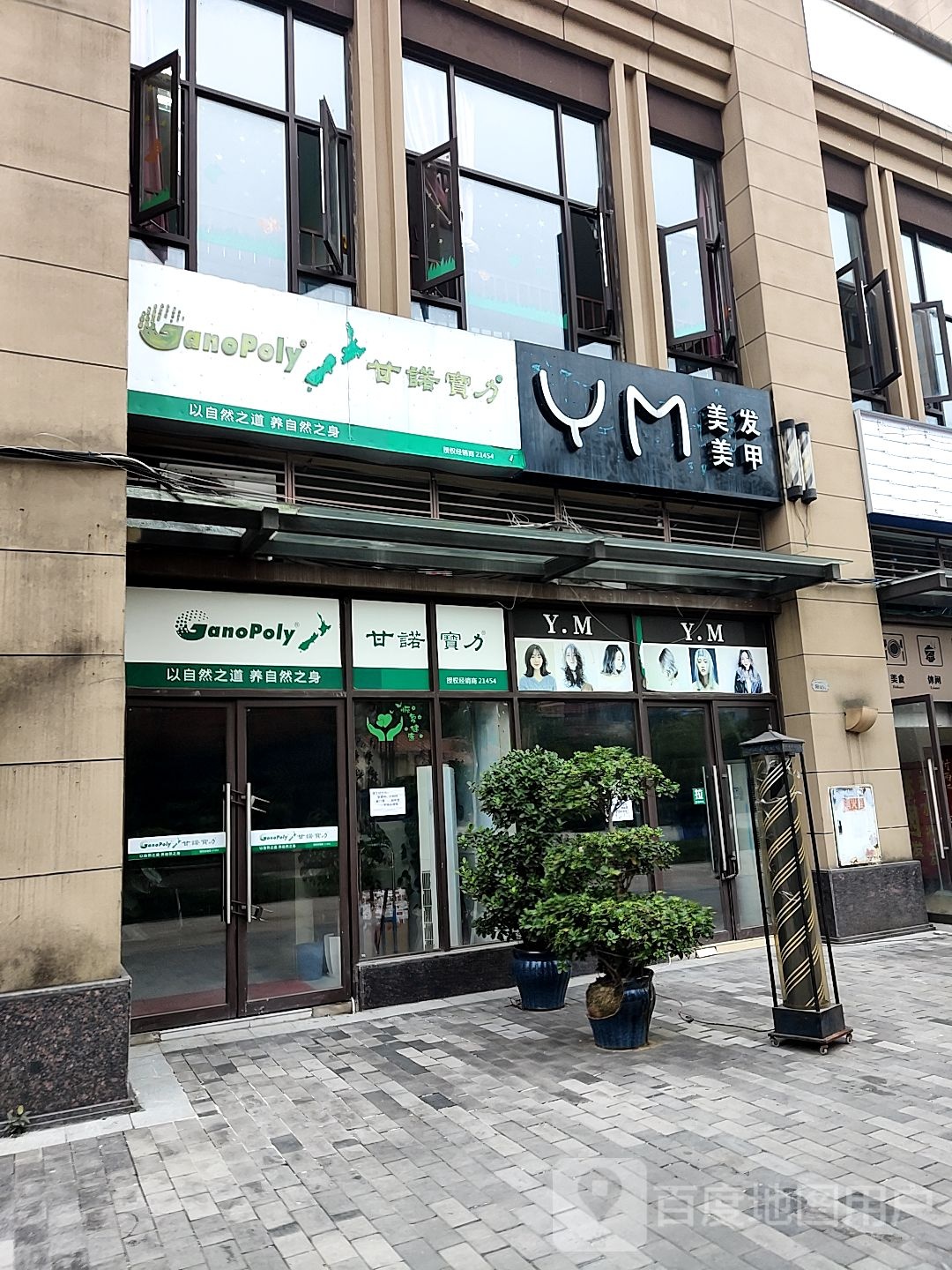 YM号造型