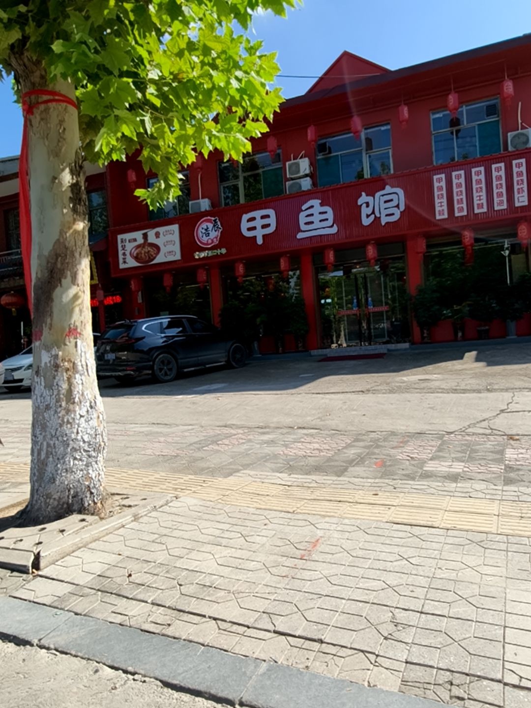 浩辰养生甲鱼馆
