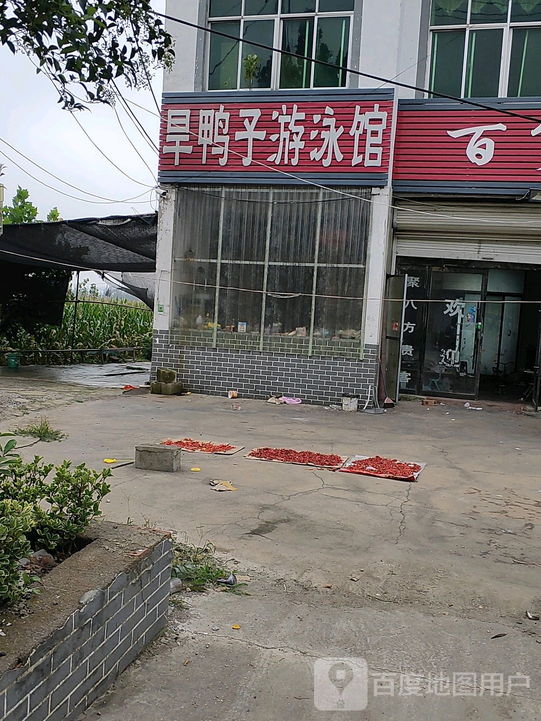 干鸭子游泳馆
