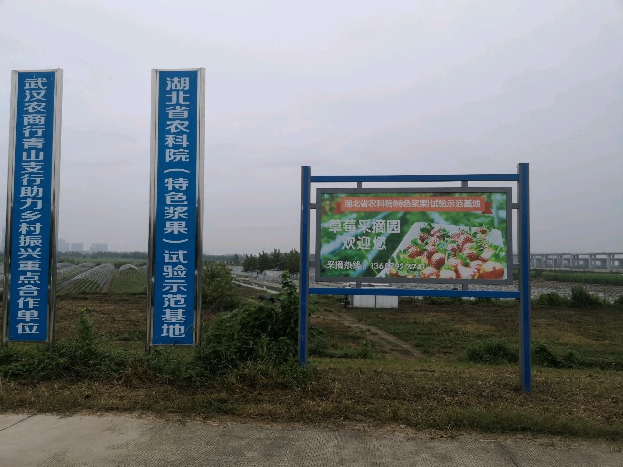 湖北省农科院采摘园