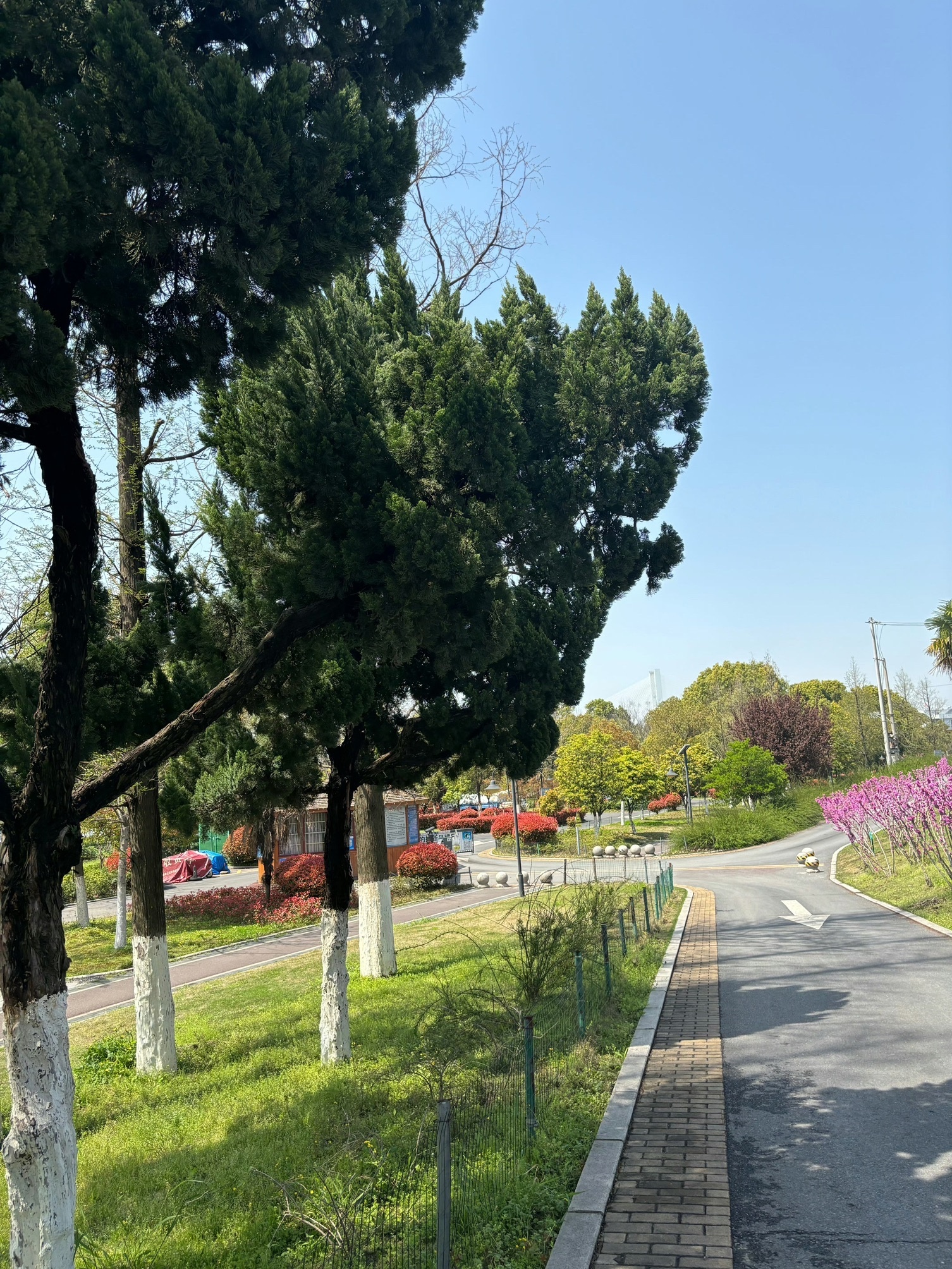 临江仙公园