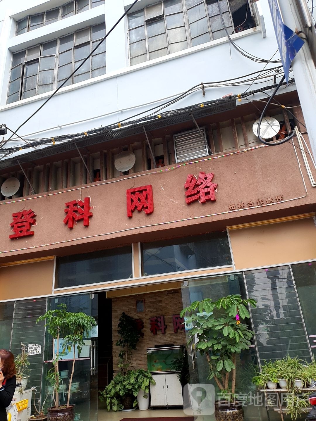 登客网络