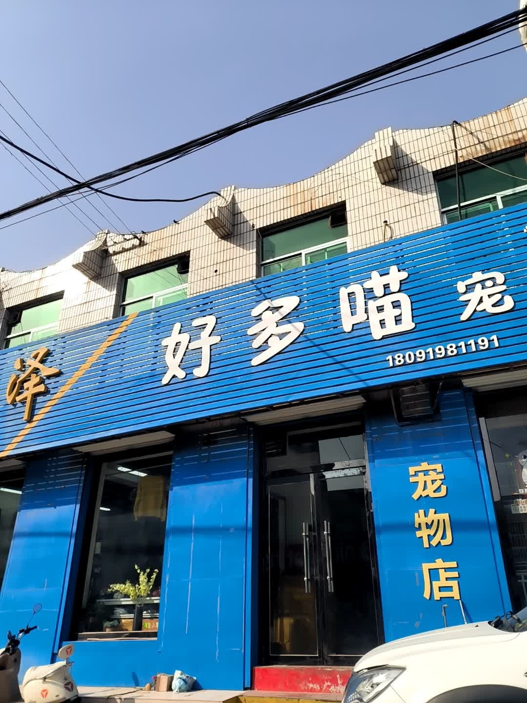 好多喵宠物