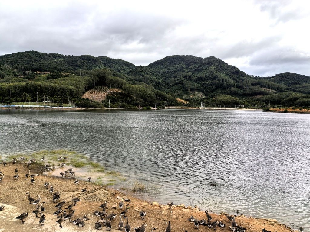 土眉水库