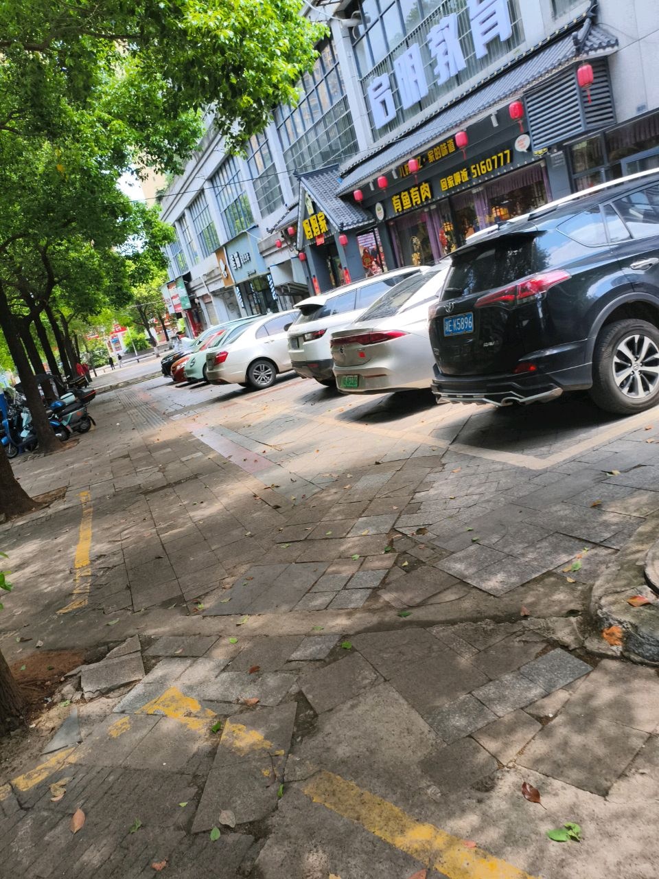 启明教育