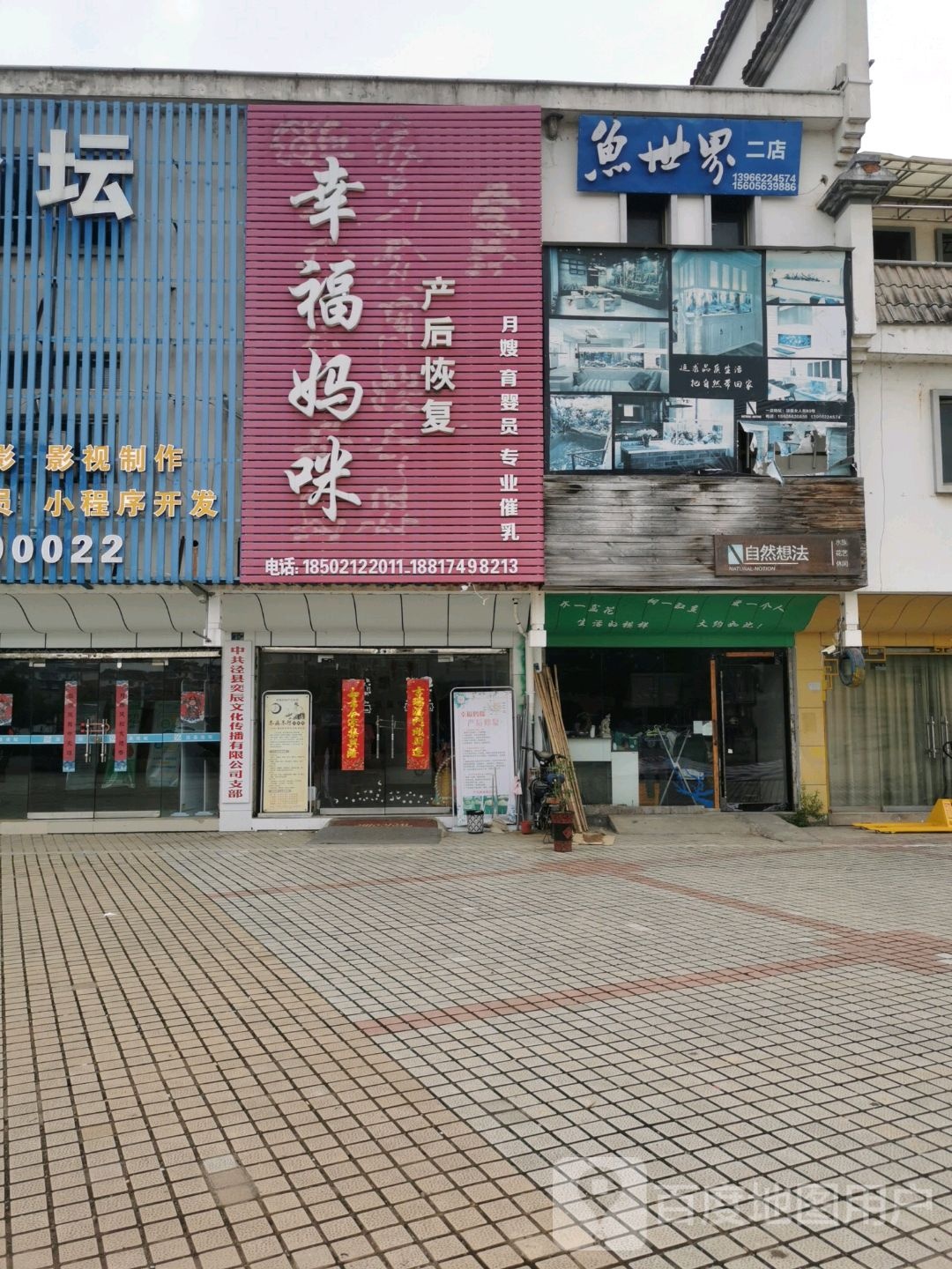 鱼世界(桃花潭中路店)