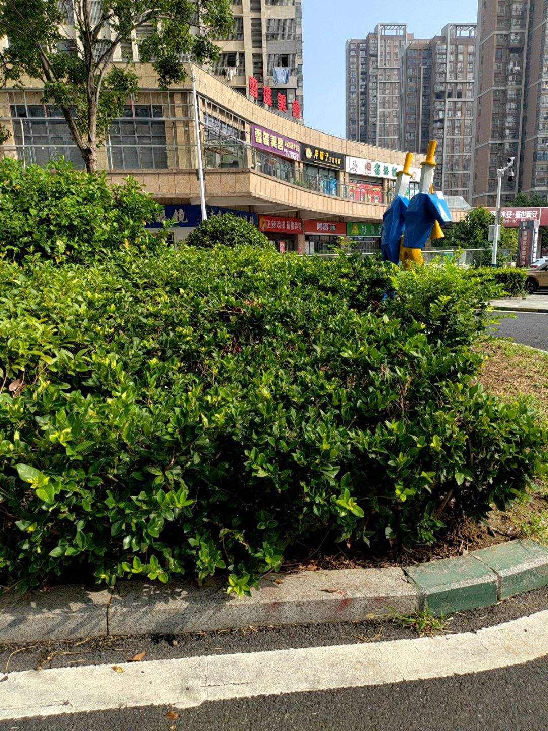 洋辣子文化传媒