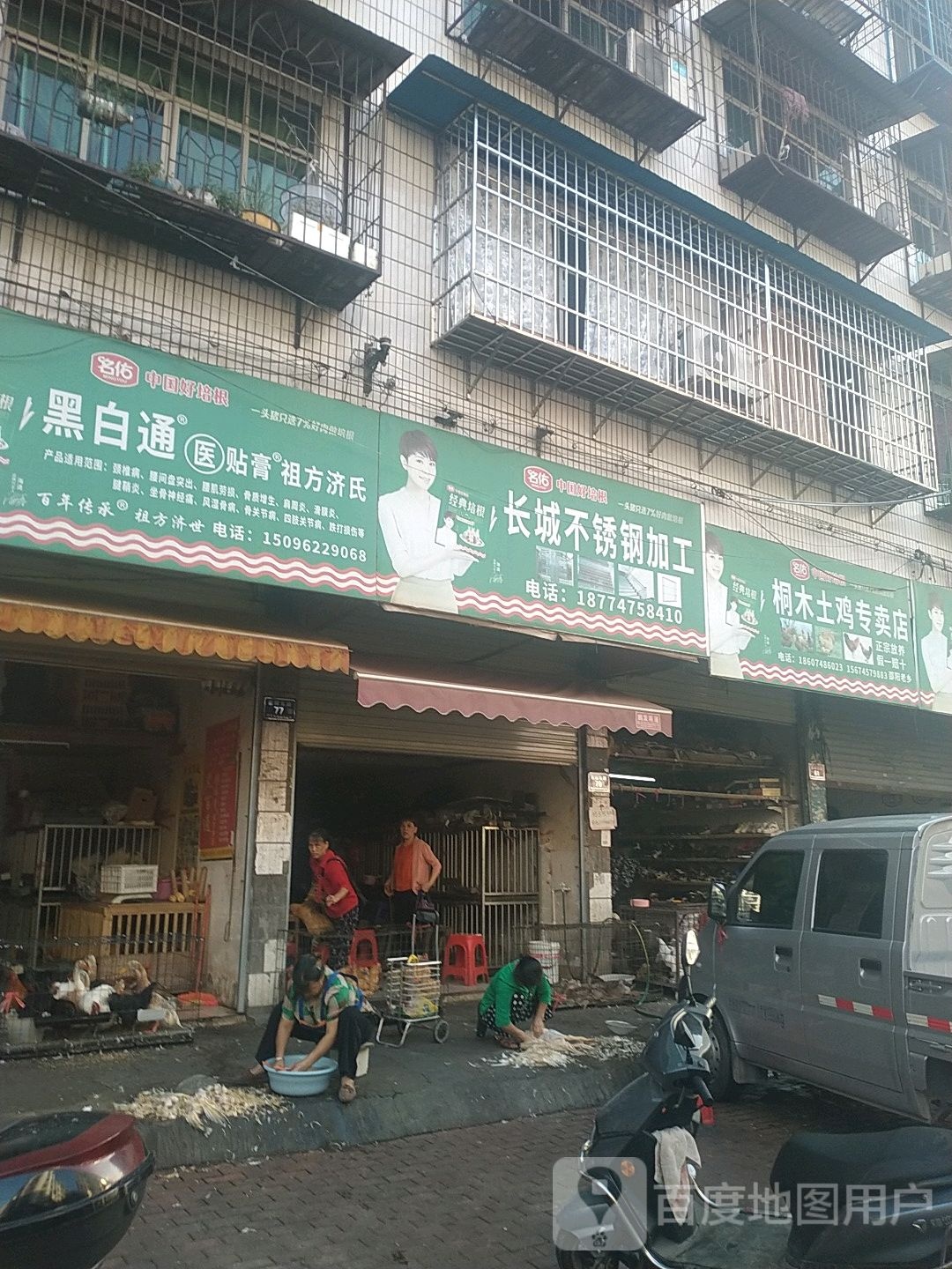 桐木土鸡专专卖