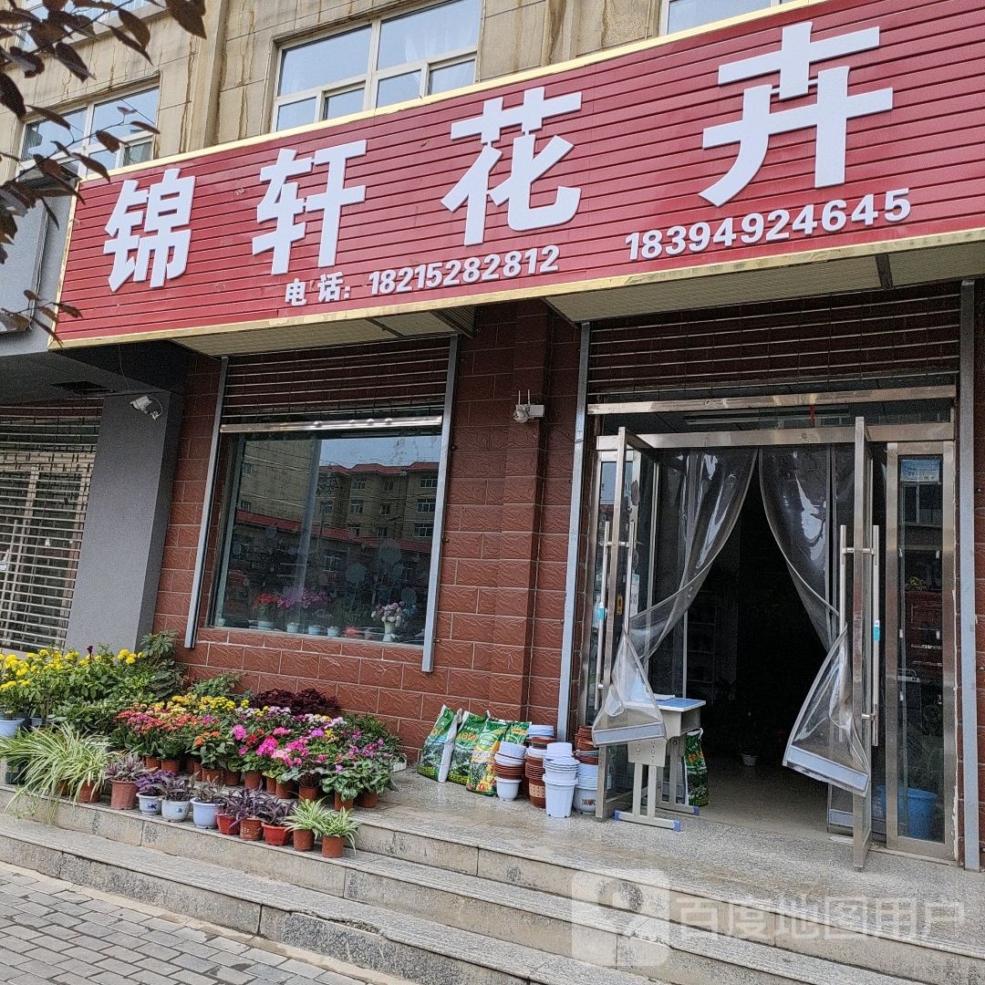锦轩花卉(洮丰家园店)