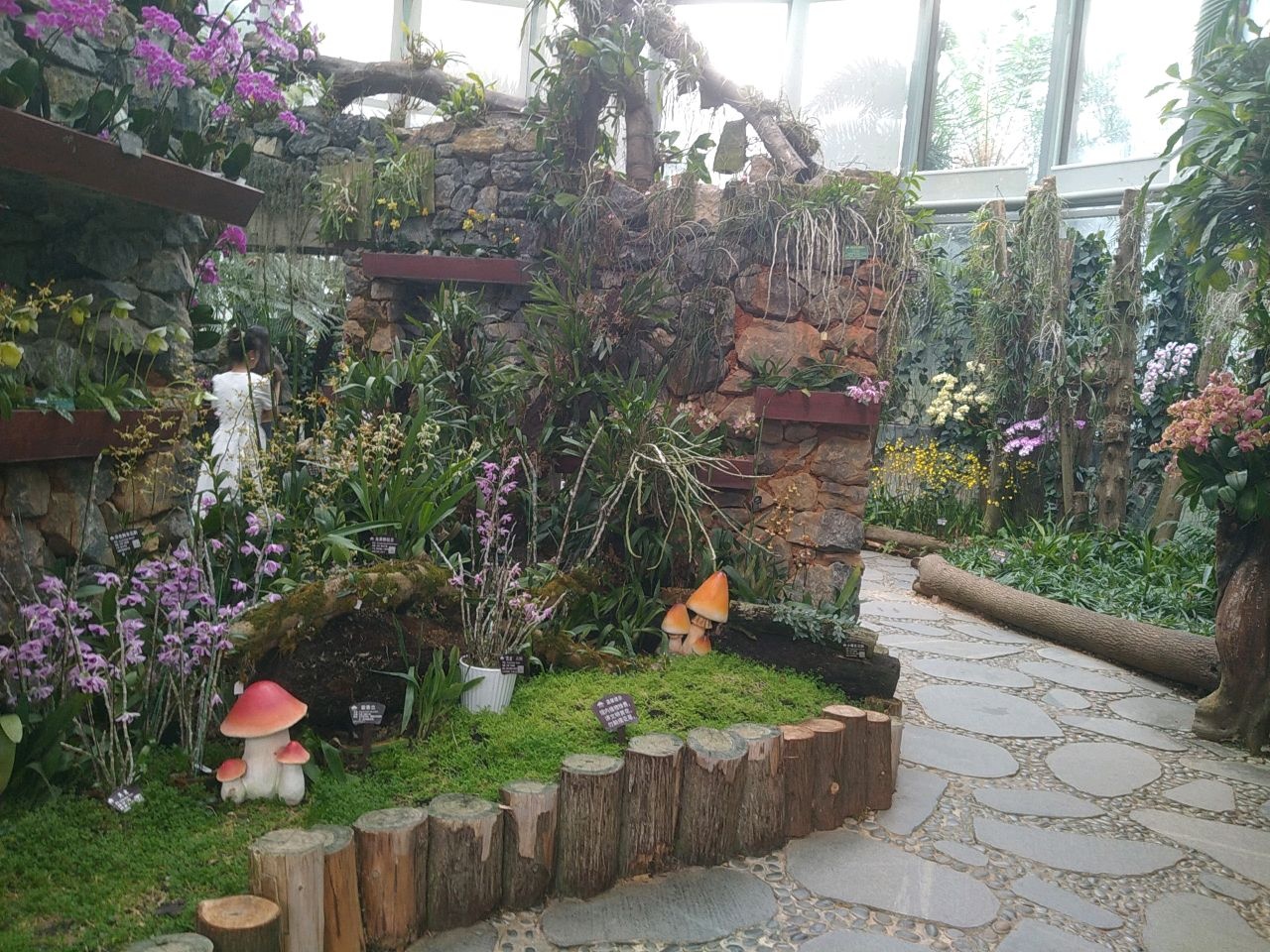 亚热带精品兰花馆