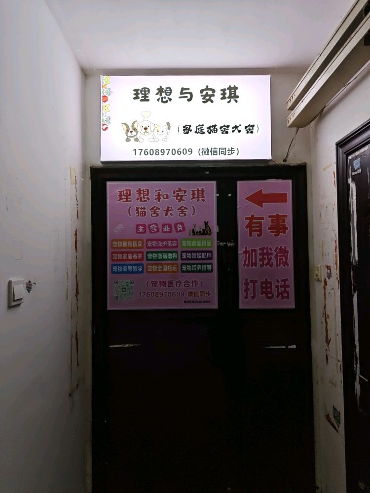 理想与安琪(家庭猫舍犬舍)
