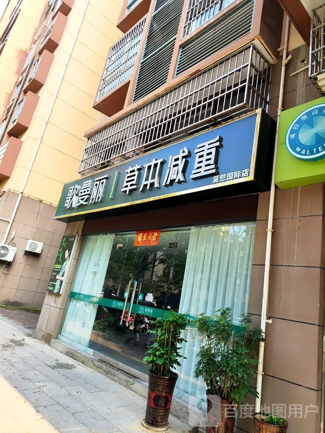 歌曼丽草本减肥(莫愁国际店)