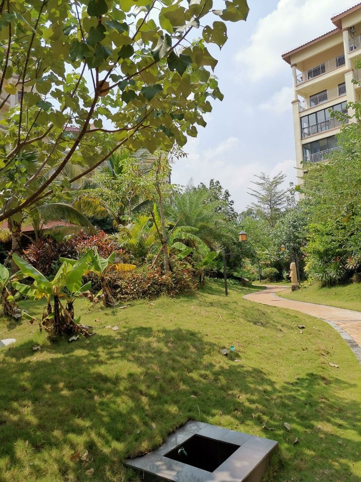 木棉湖森林湖畔社区