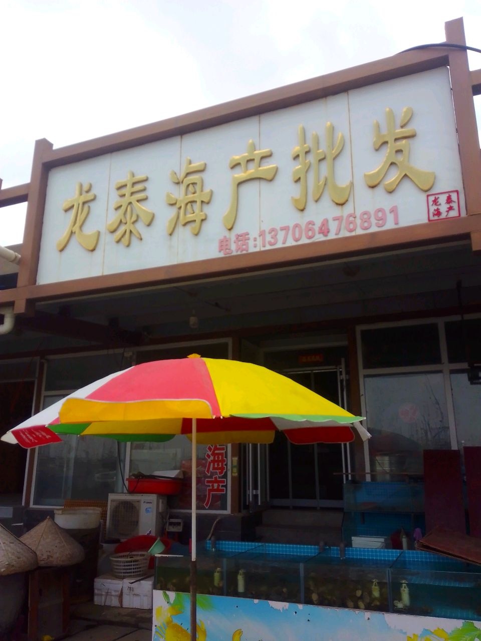 龙泰海产批发