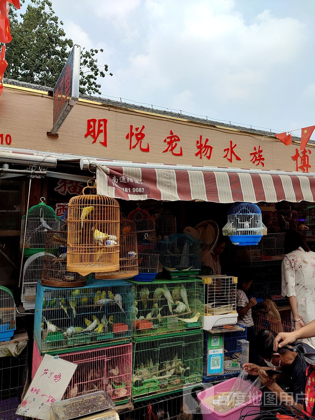 明悦宠物水族