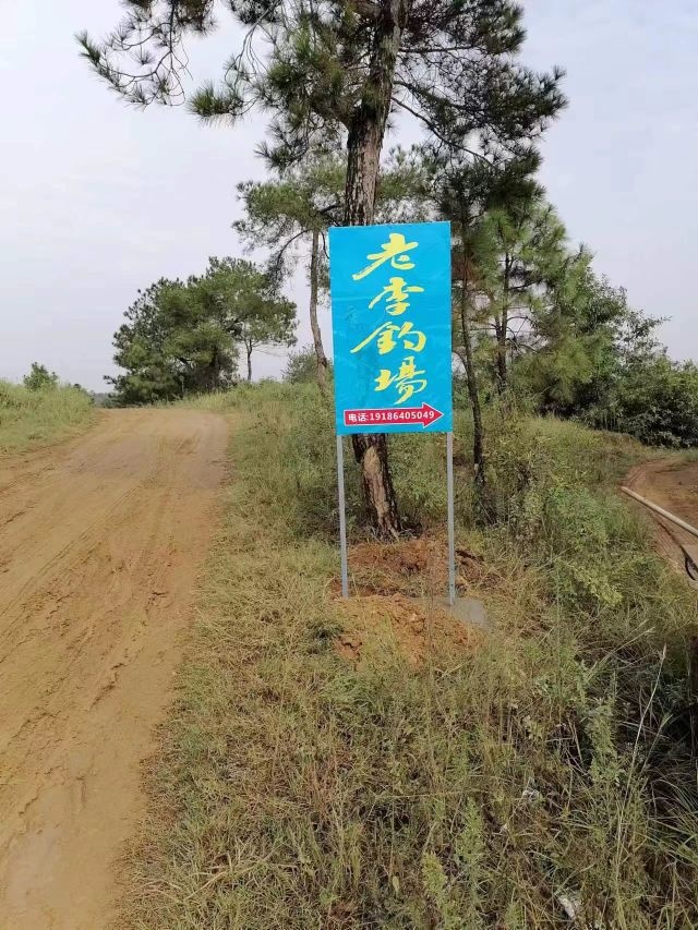 龙腾山庄老李钓场