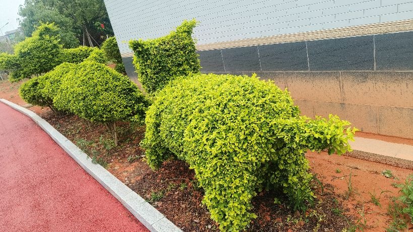 玉兰宫公园