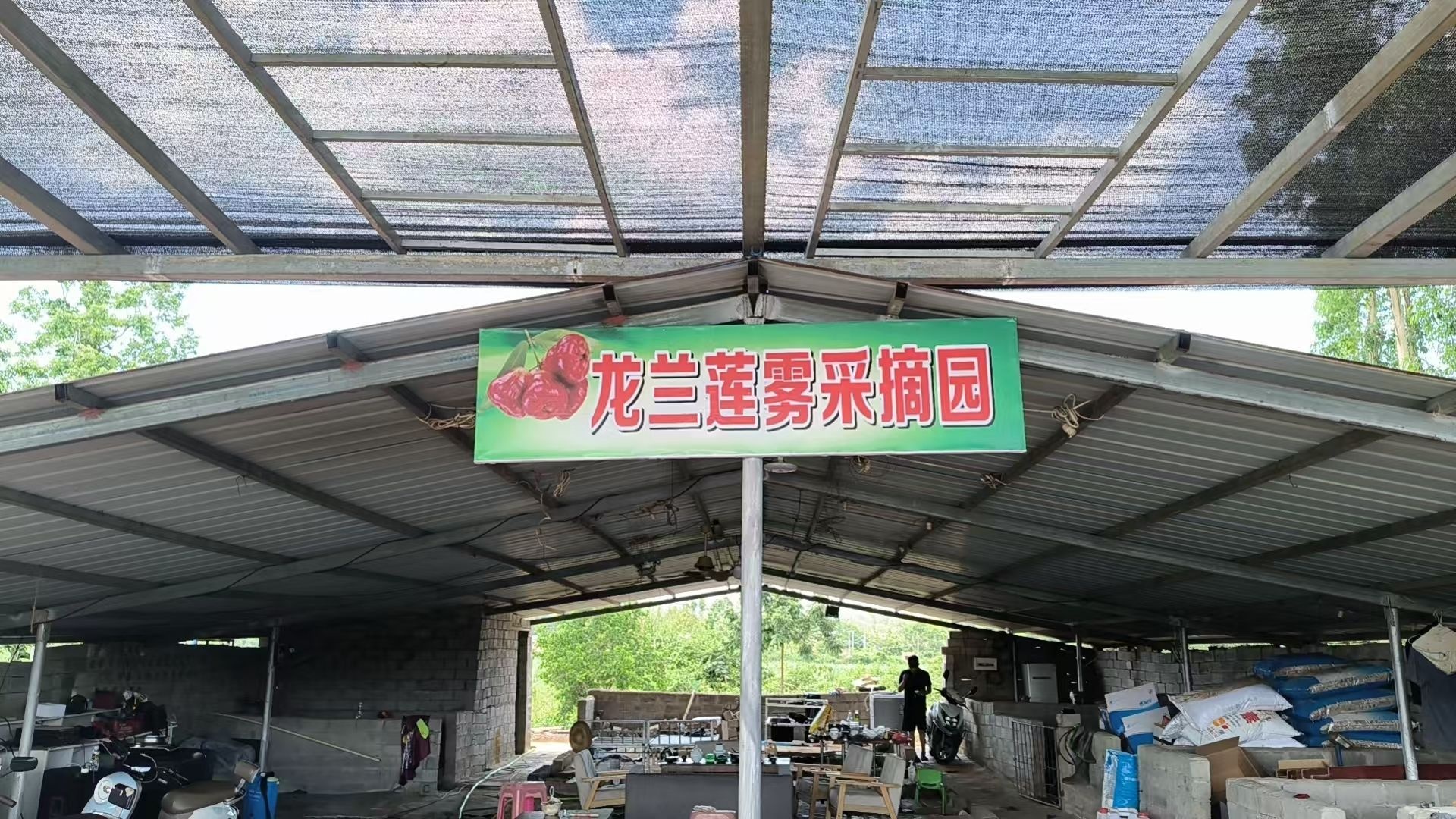 龙兰莲雾园采摘园