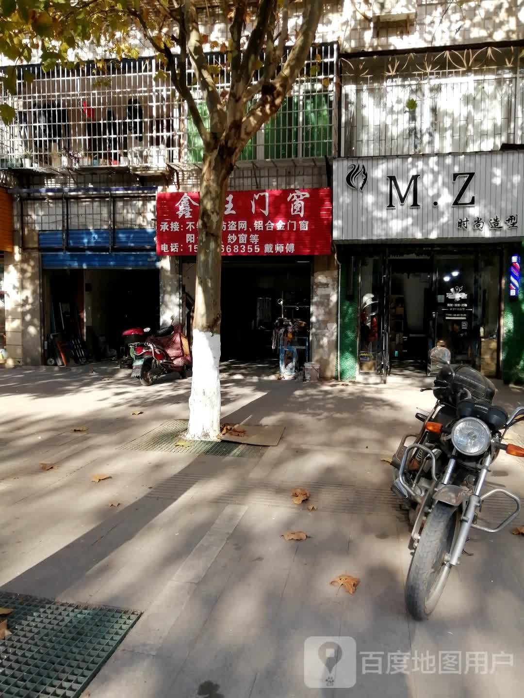 MZ时尚龙型