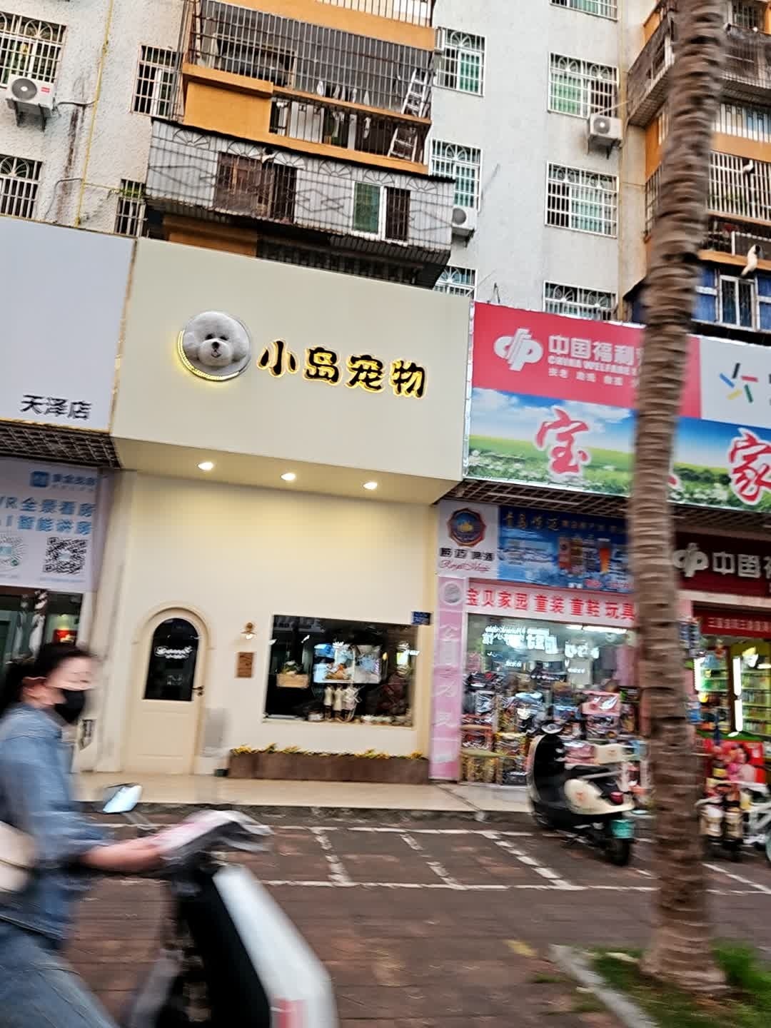 小岛宠物(丹州小区店)