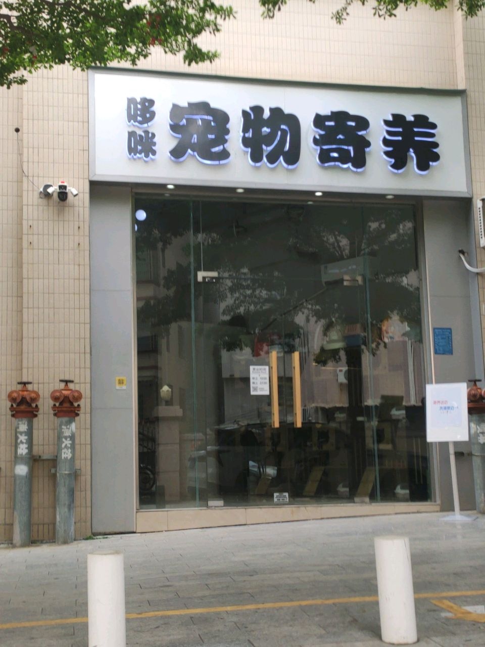 喵喵宠物寄养