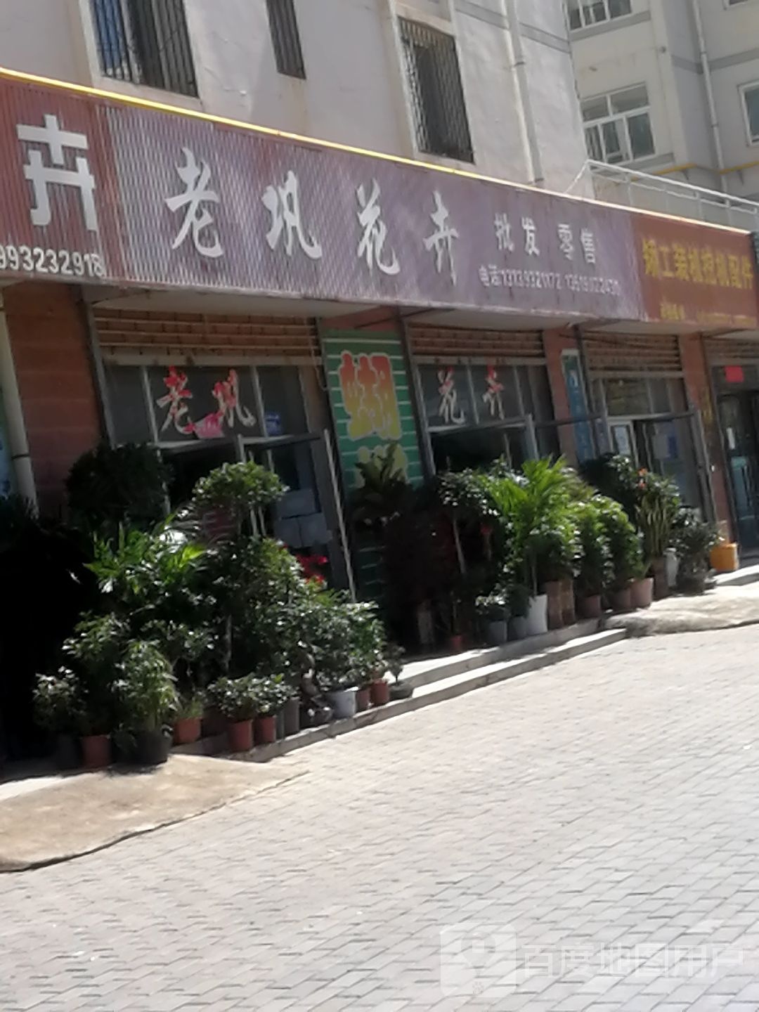 老巩花业