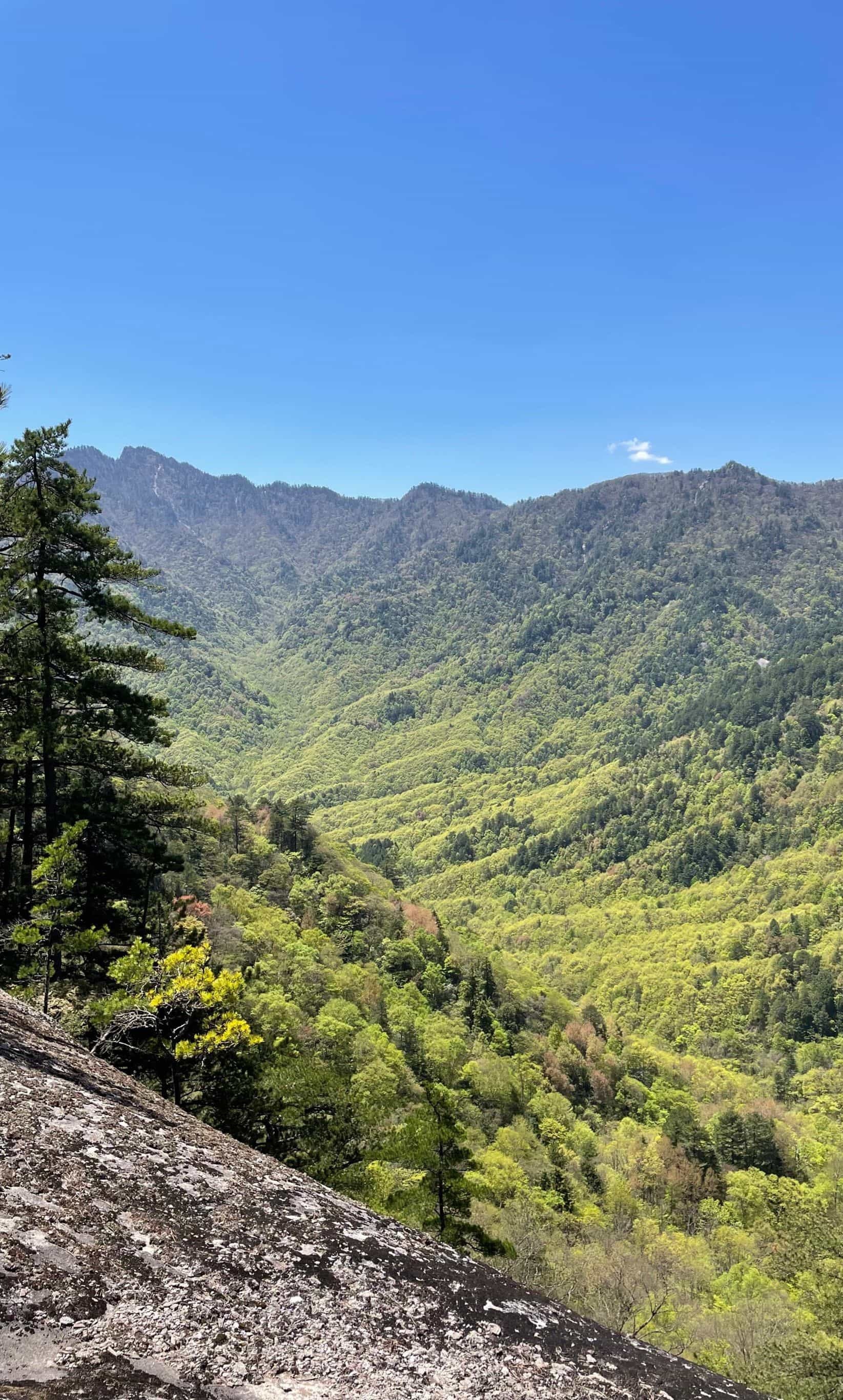 木王国家森林公园