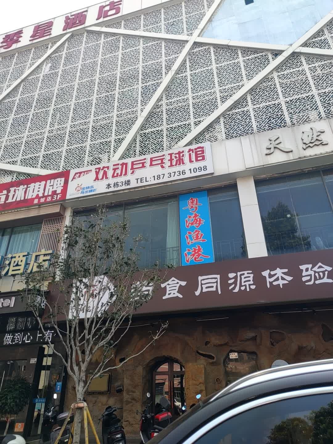 欢动乒乓球馆