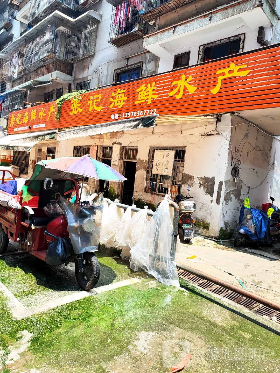 记曰张引叭海鲜水产
