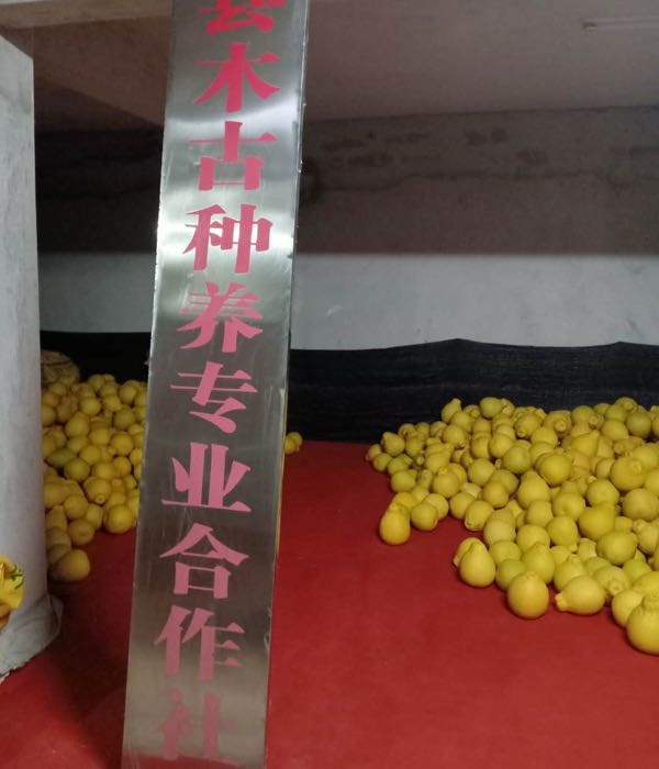 容县木古种养合作社