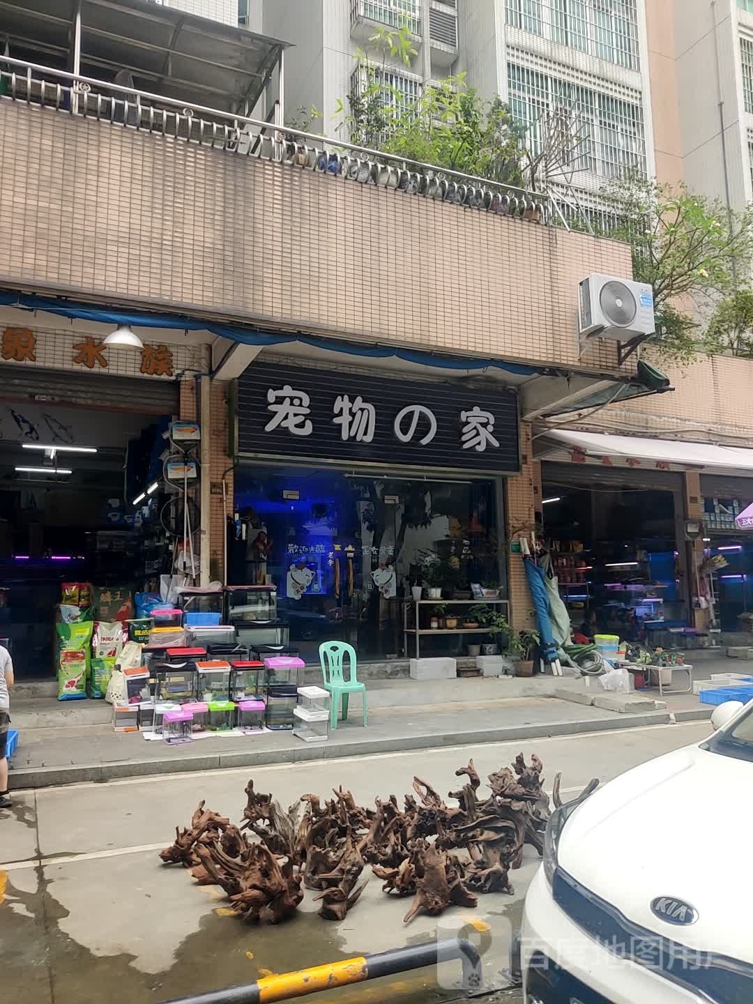 宠物的家(东湖府邸店)