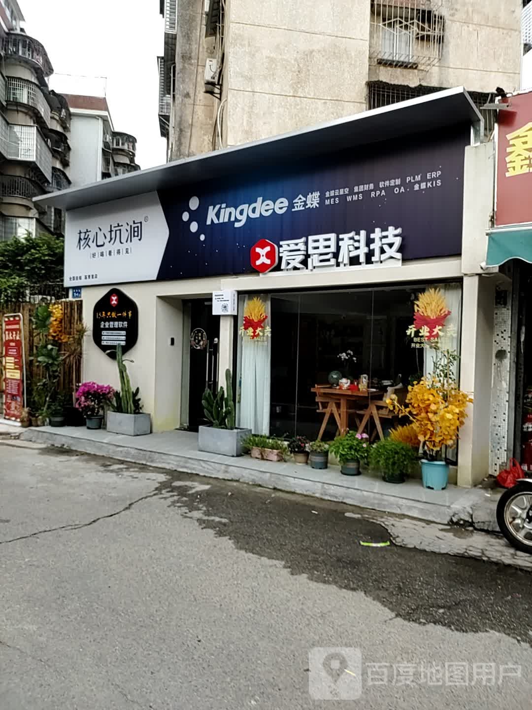 金蝶软件开发