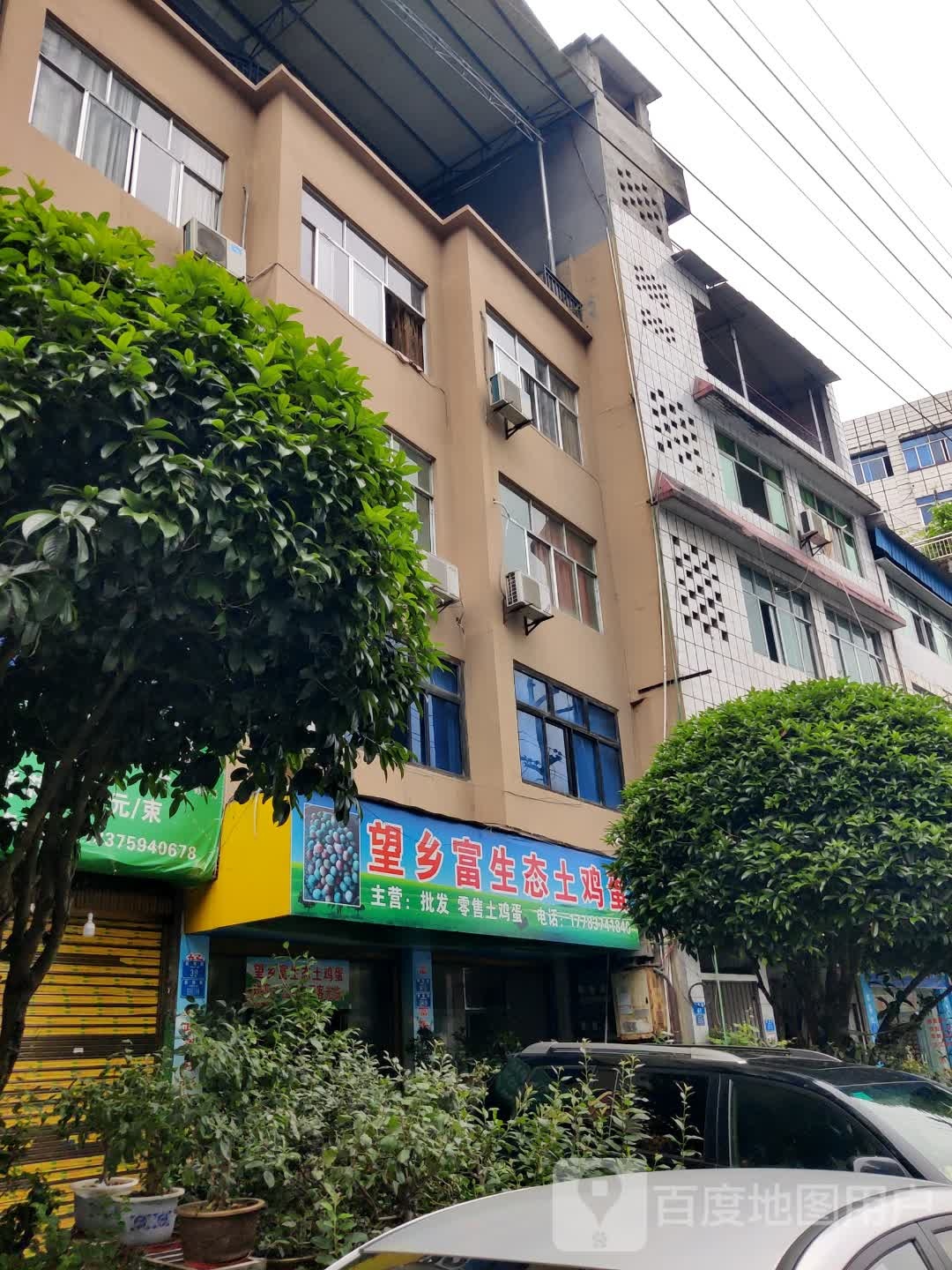 望乡富生态土鸡蛋