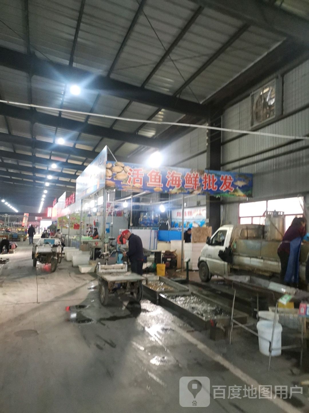 小吕精品海鲜水库卫生活鱼